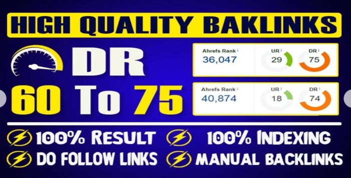 Pbn rank backlink