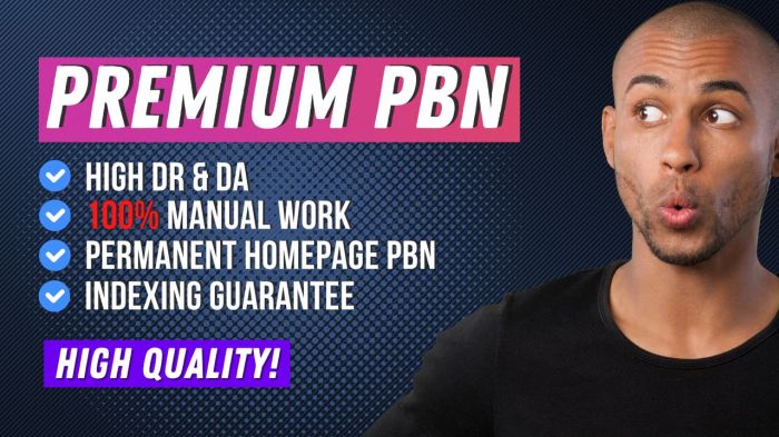 PBN Backlinks in 2025