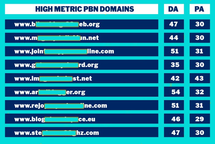 PBN Backlinks in 2025